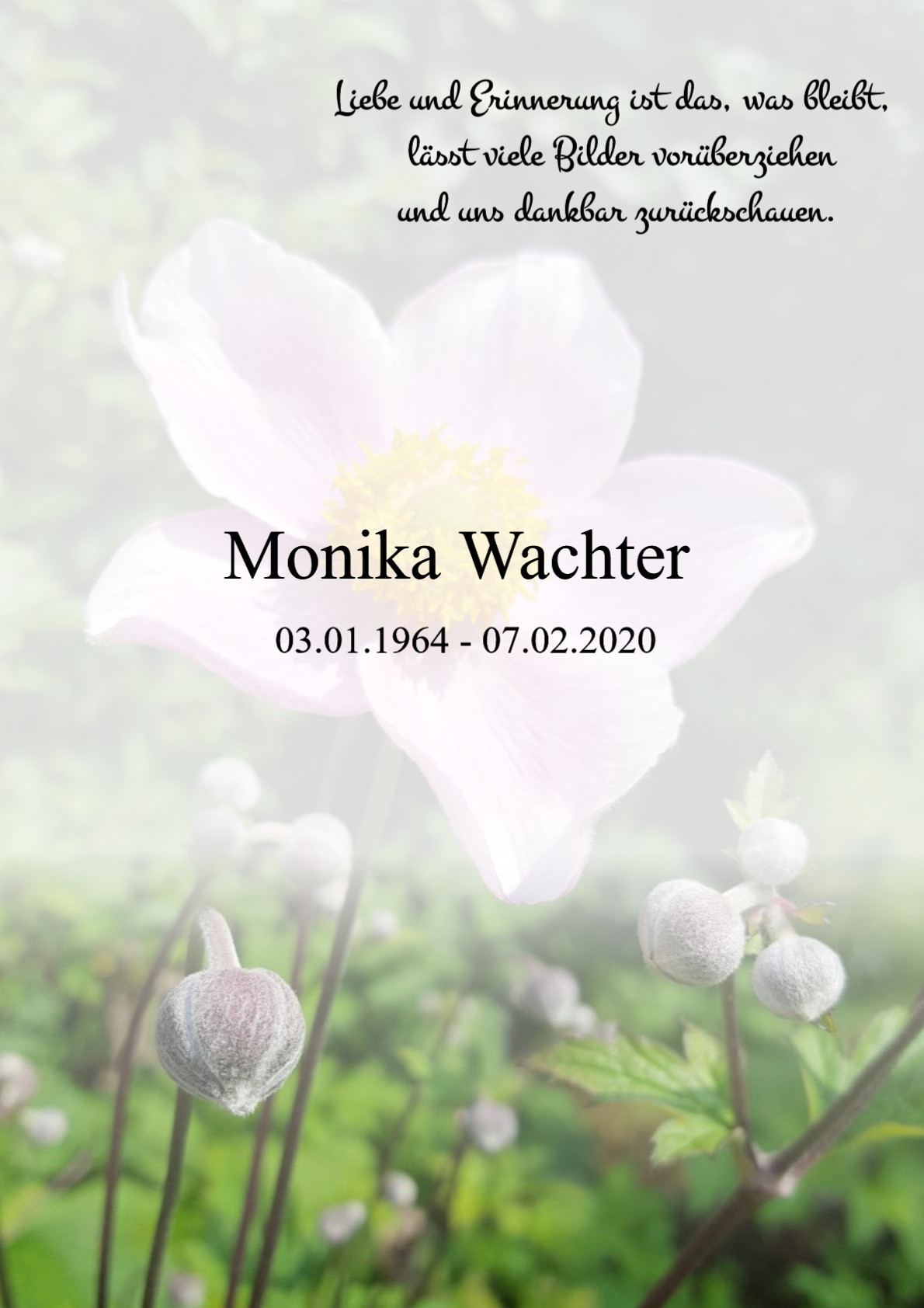 Traueranzeige von Monika Wachter