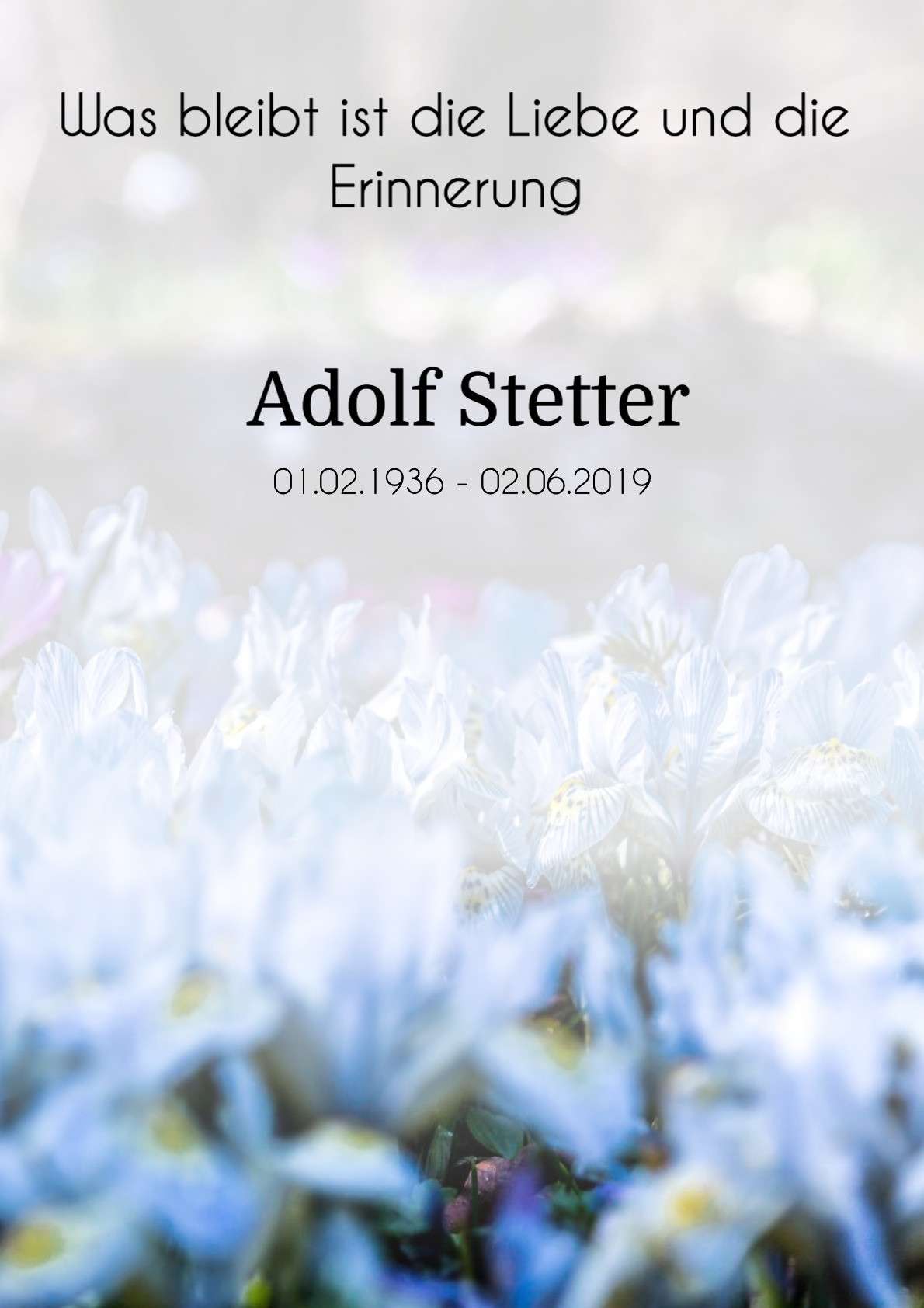 Traueranzeige von Adolf Stetter