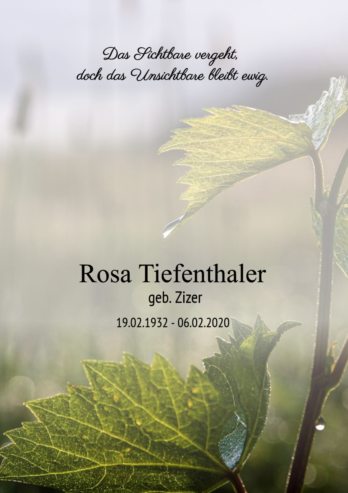 Traueranzeige von Rosa Tiefenthaler