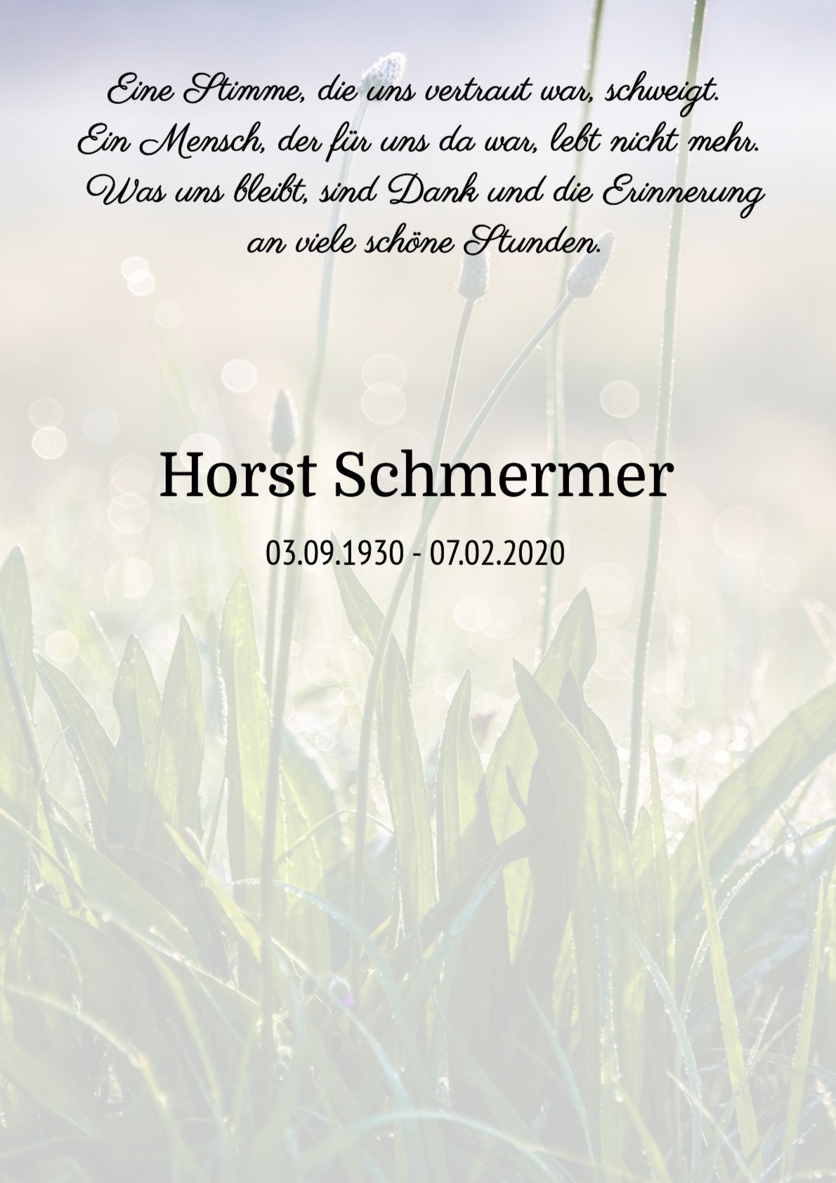 Traueranzeige von Horst Schmermer