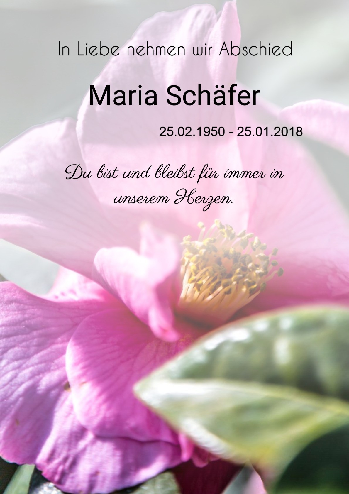 Traueranzeige von Maria Schäfer
