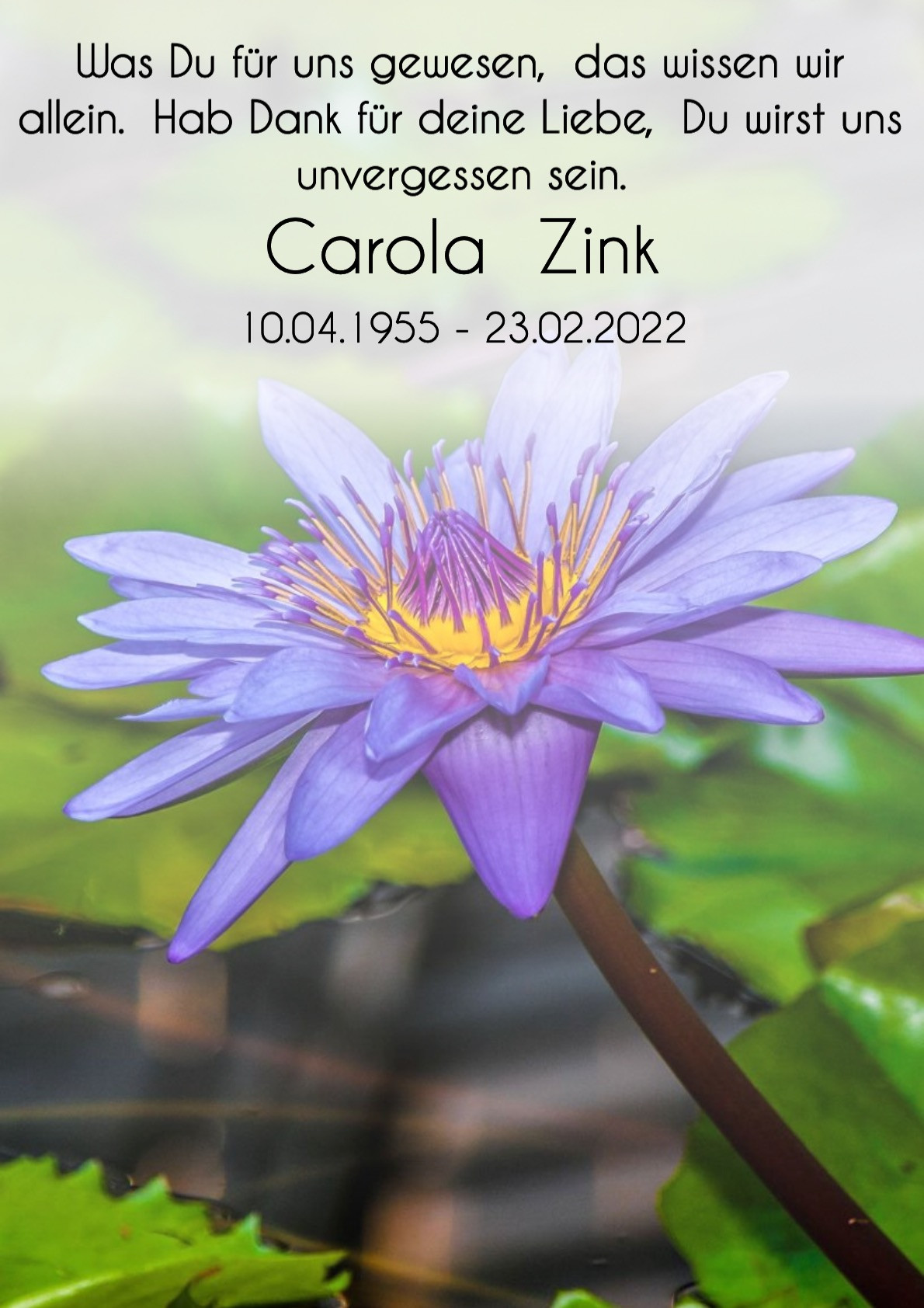Traueranzeige von Carola Zink