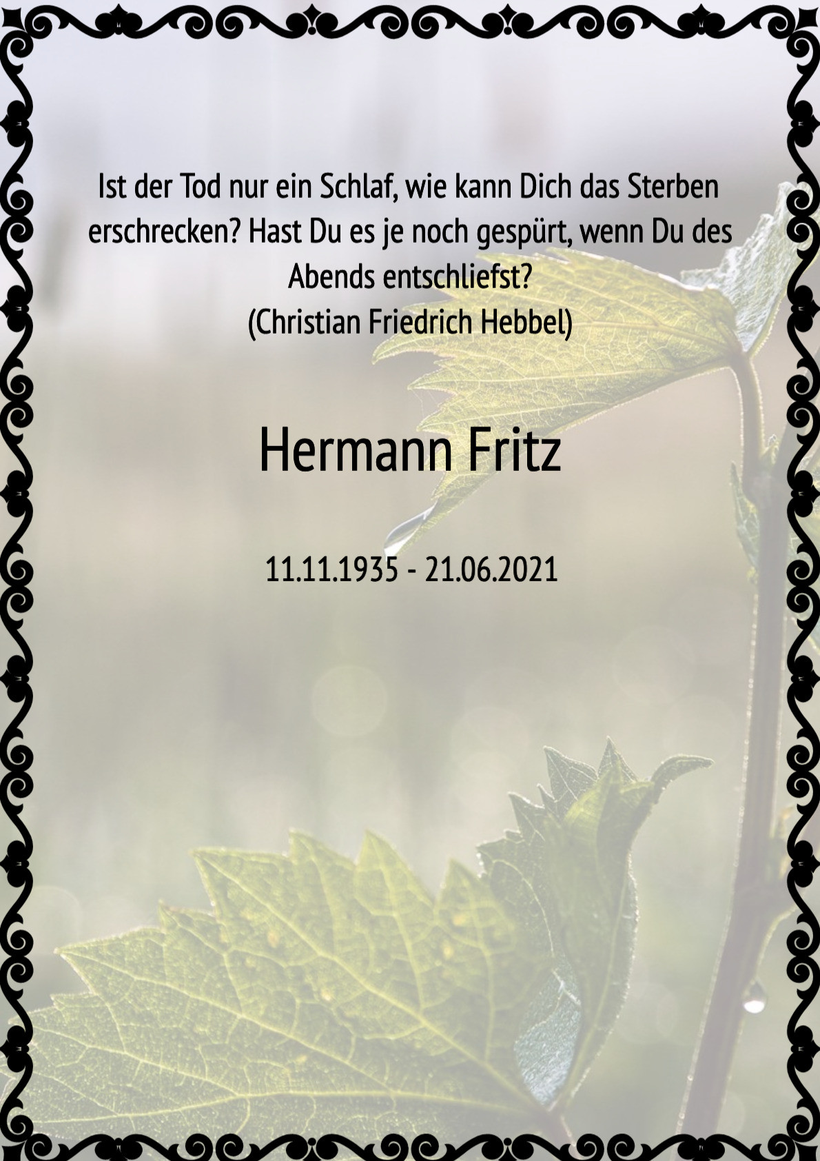 Traueranzeige von Hermann Fritz