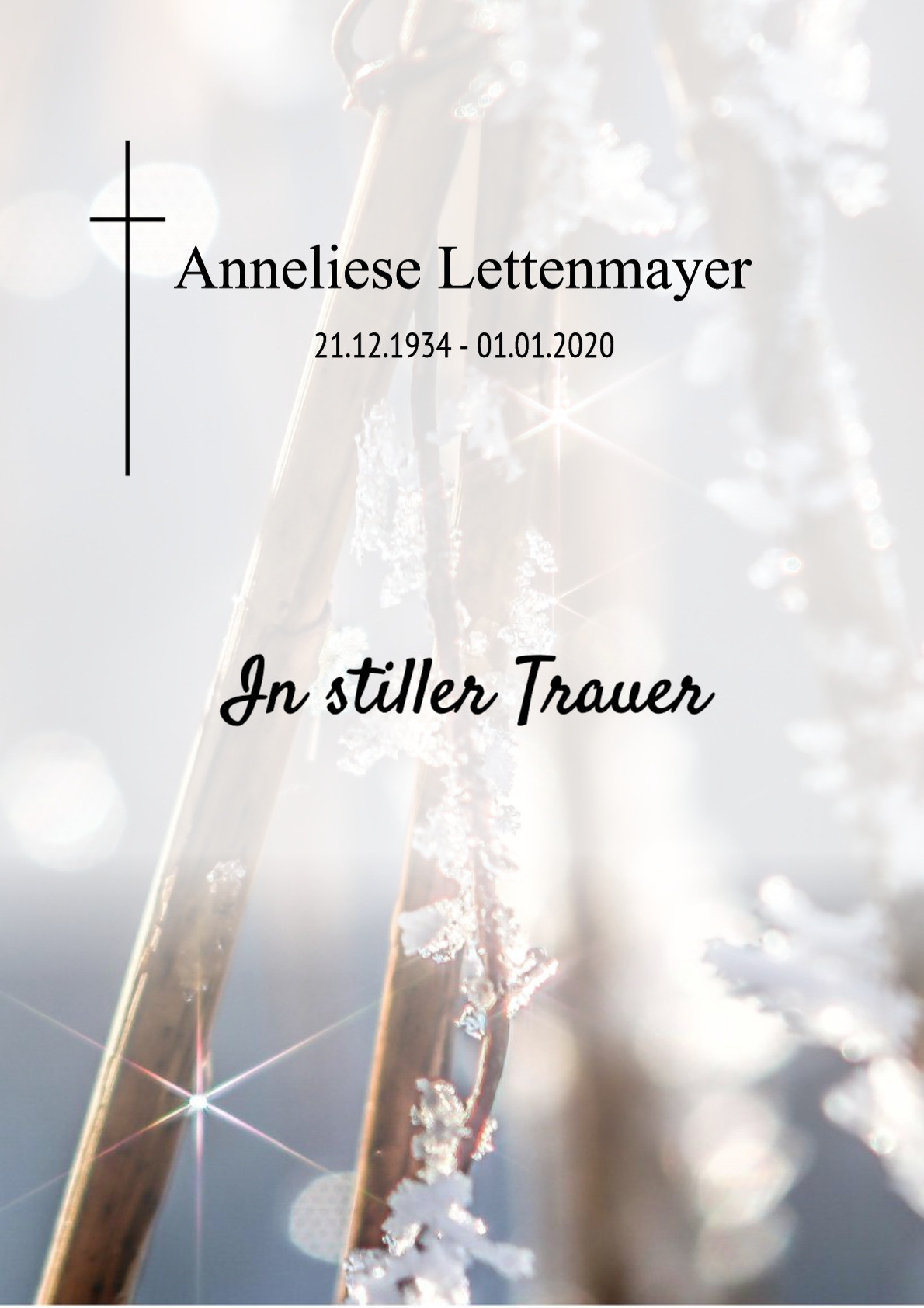 Traueranzeige von Anneliese Lettenmayer