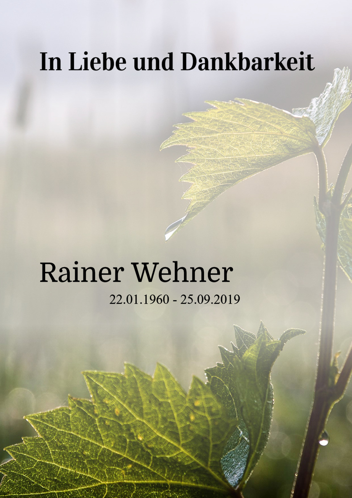 Traueranzeige von Rainer Wehner