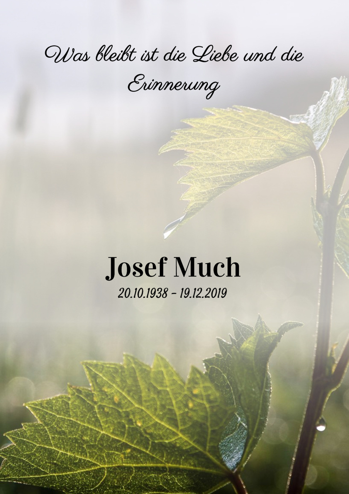 Traueranzeige von Josef Much