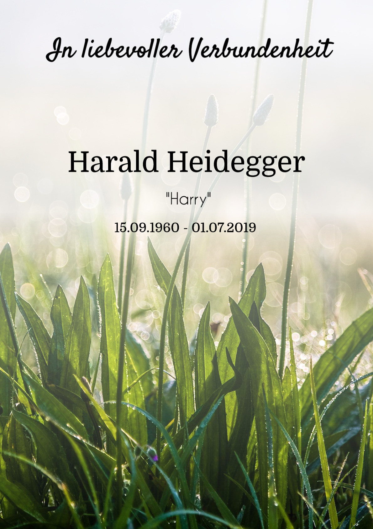 Traueranzeige von Harald Heidegger