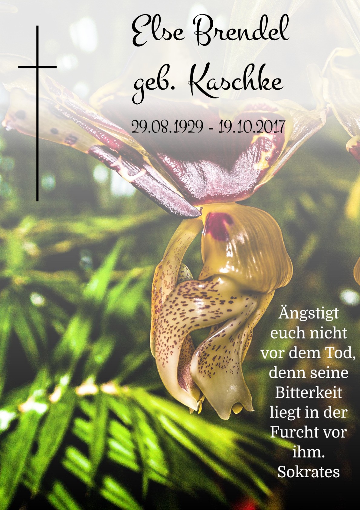 Traueranzeige von Else Brendel