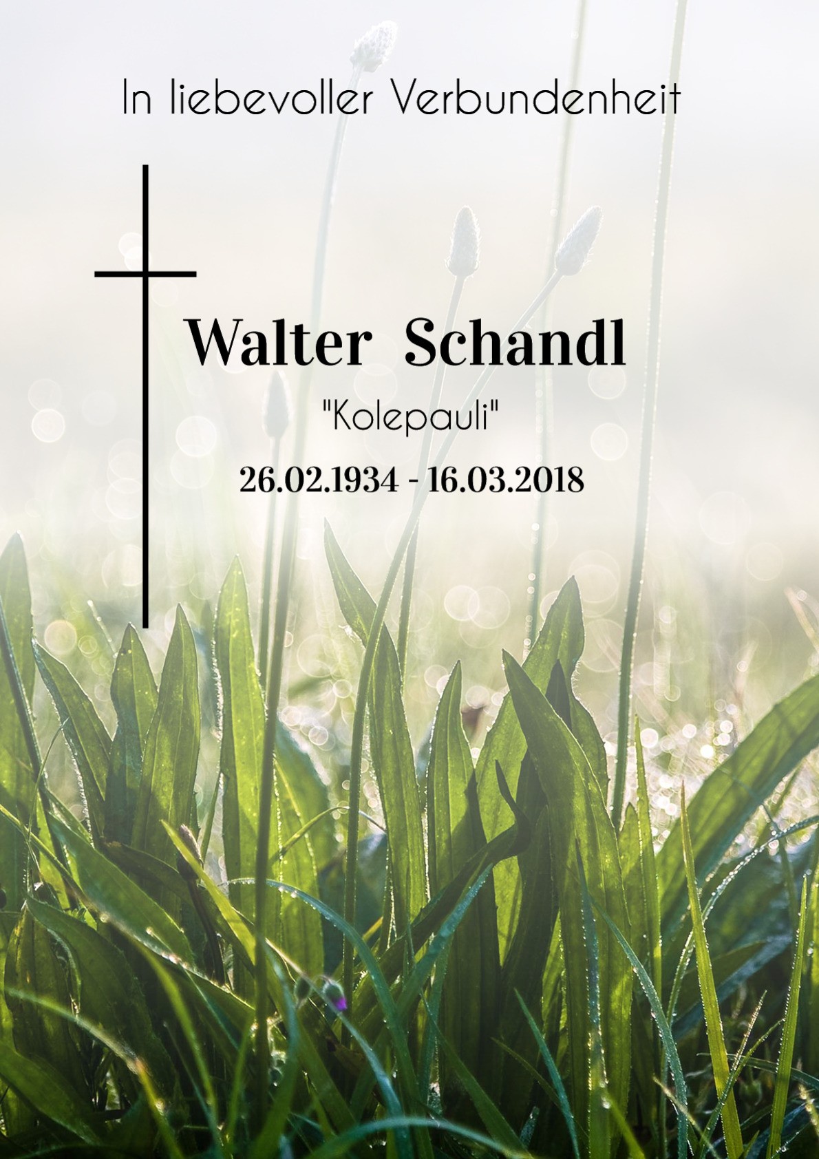 Traueranzeige von Walter Schandl