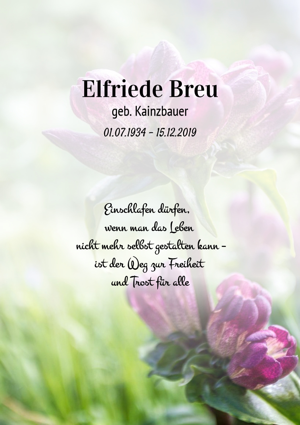 Traueranzeige von Elfriede Breu