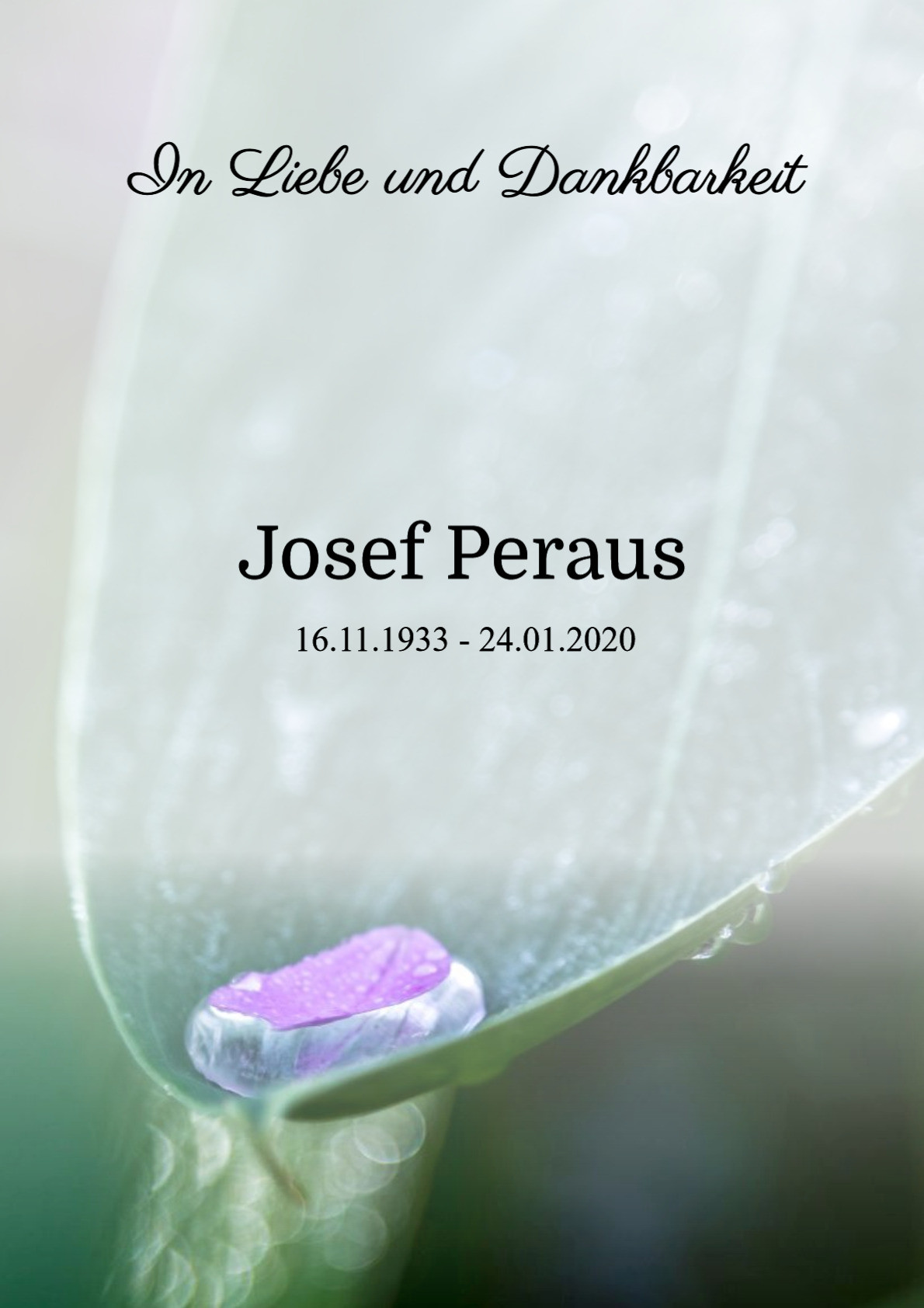 Traueranzeige von Josef Peraus