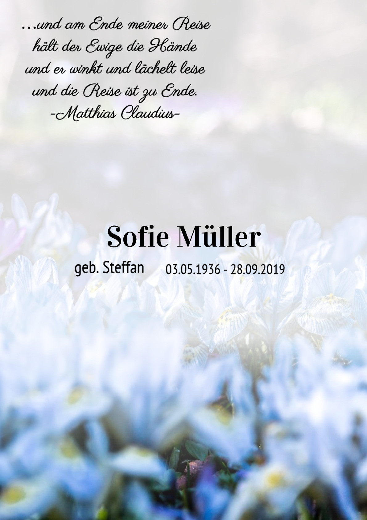 Traueranzeige von Sofie Müller