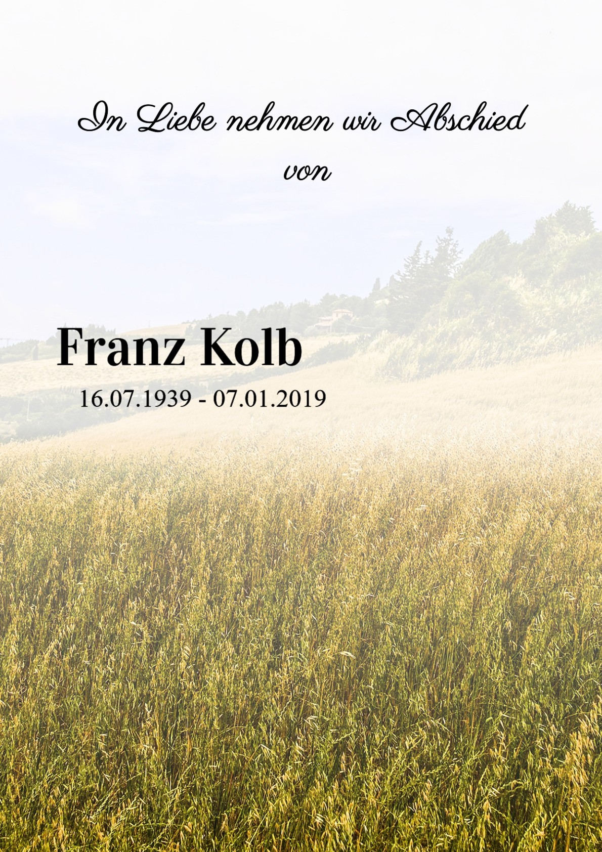 Traueranzeige von Franz Kolb