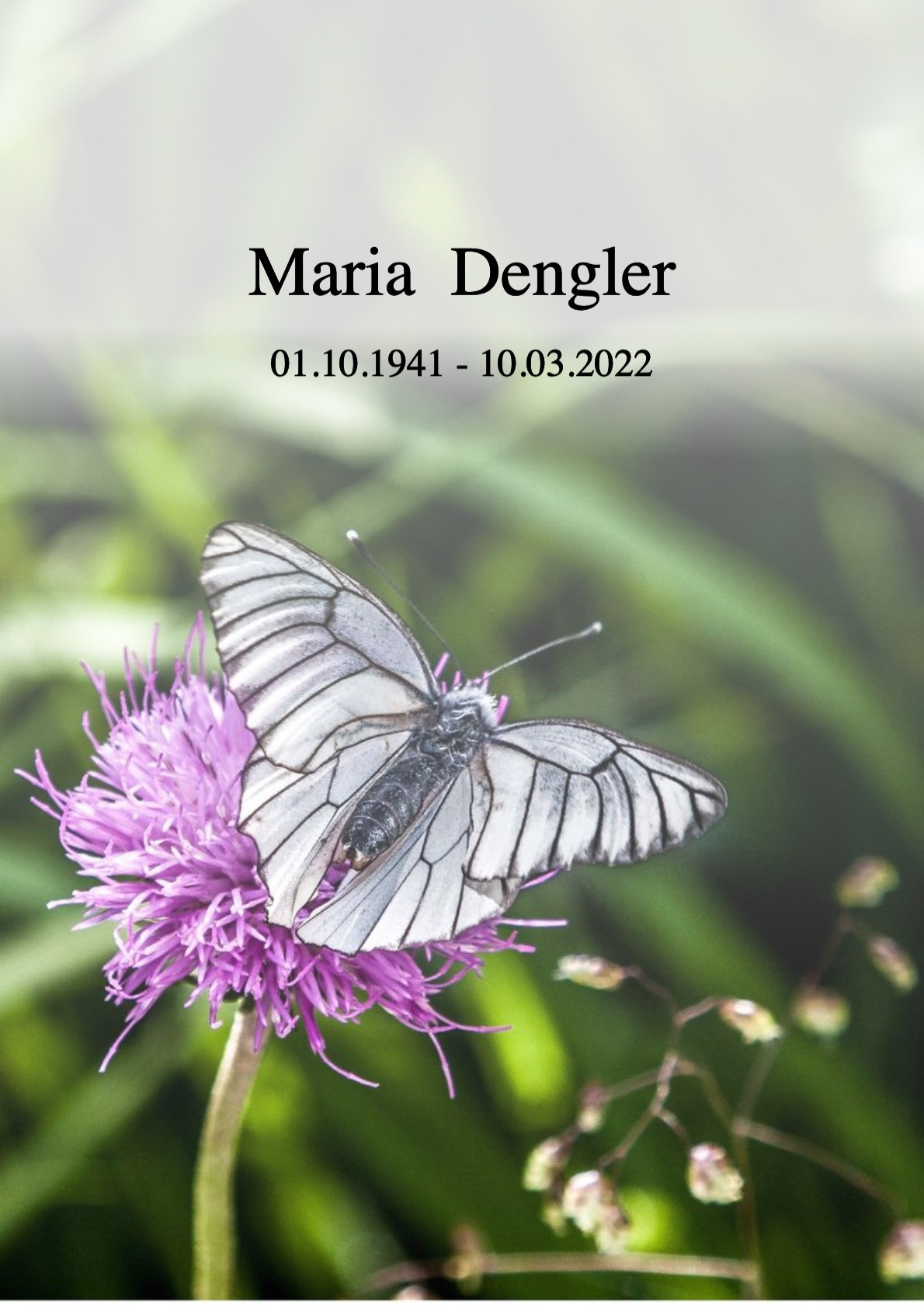 Traueranzeige von Maria Dengler