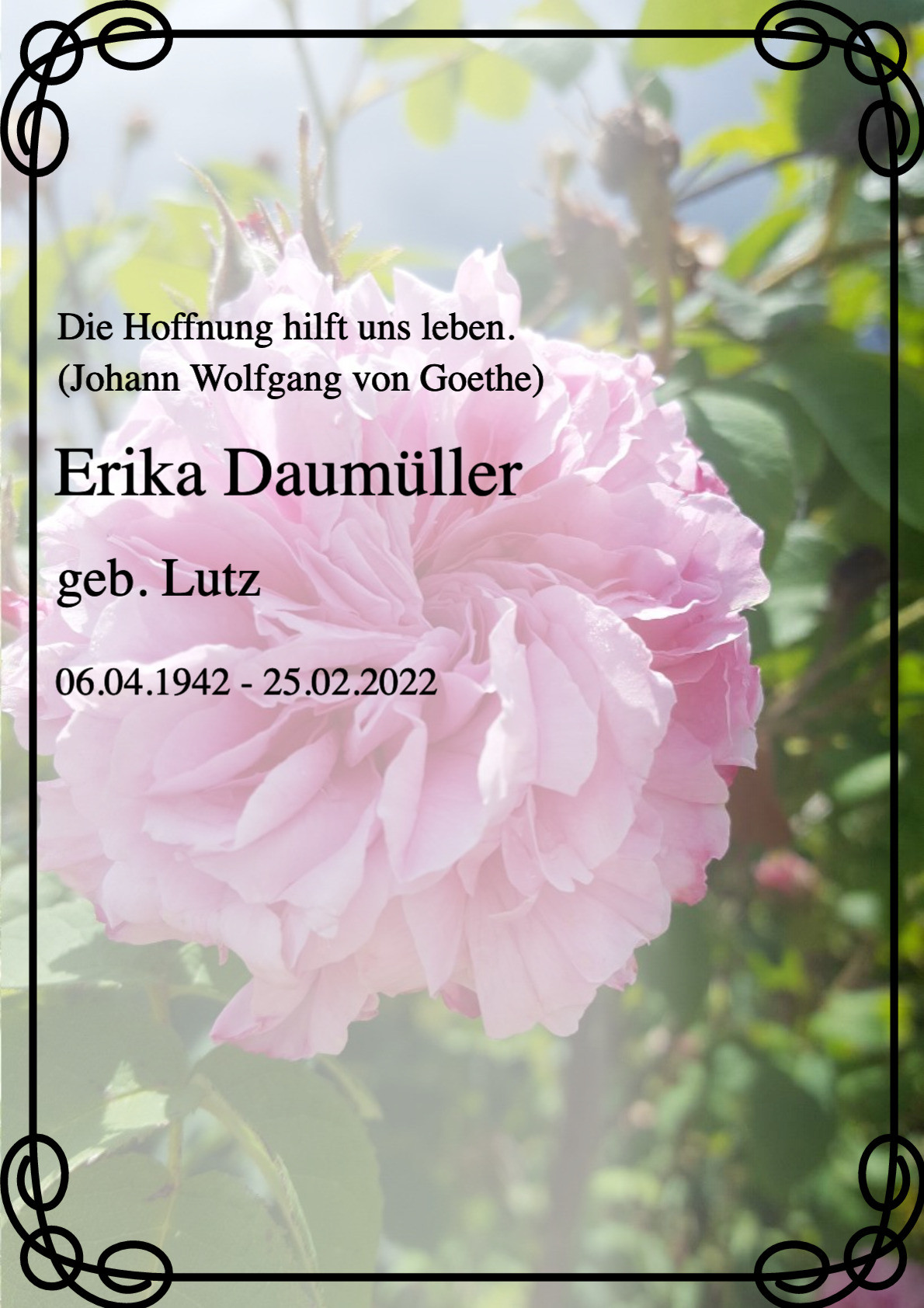 Traueranzeige von Erika Daumüller