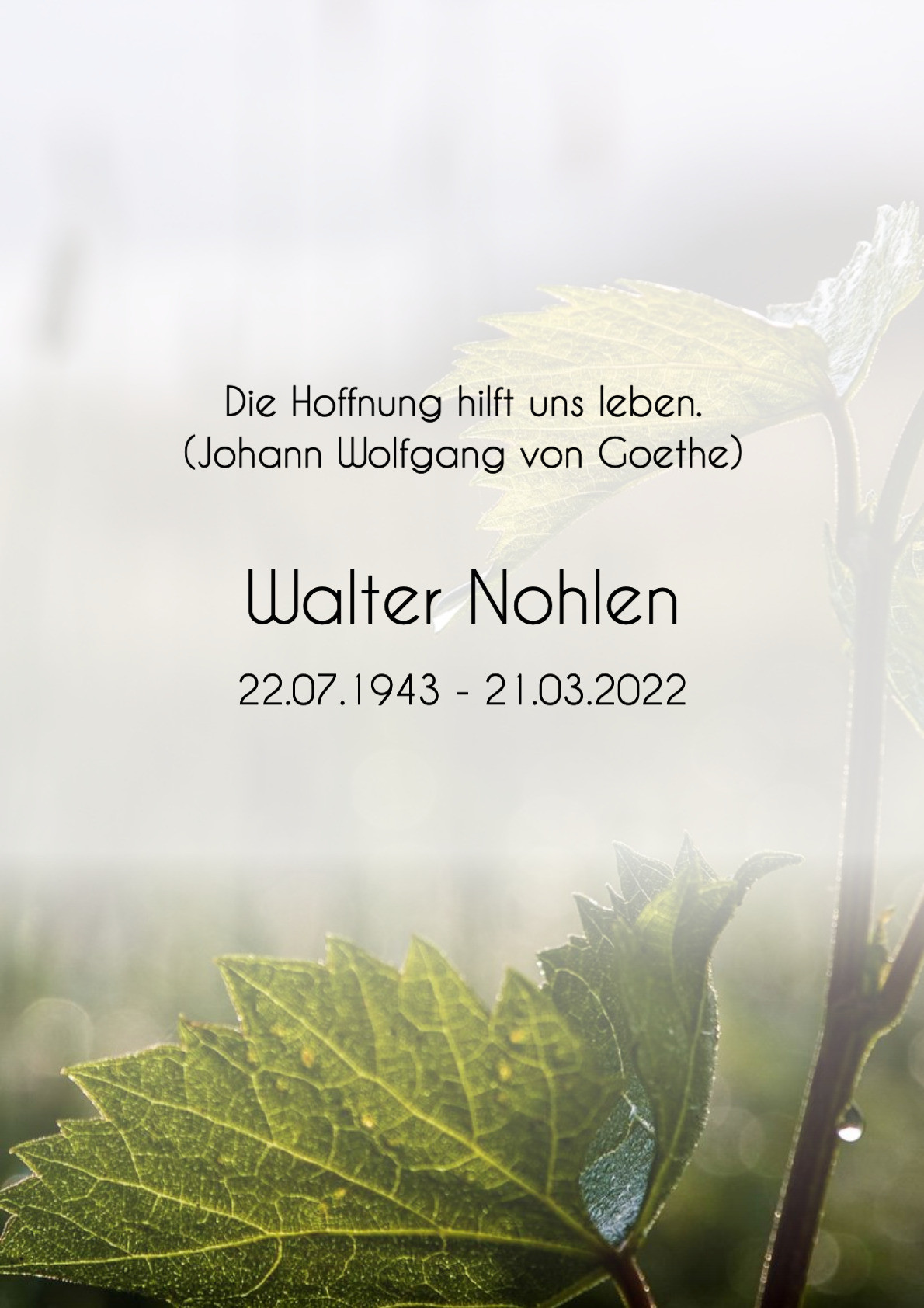 Traueranzeige von Walter Nohlen