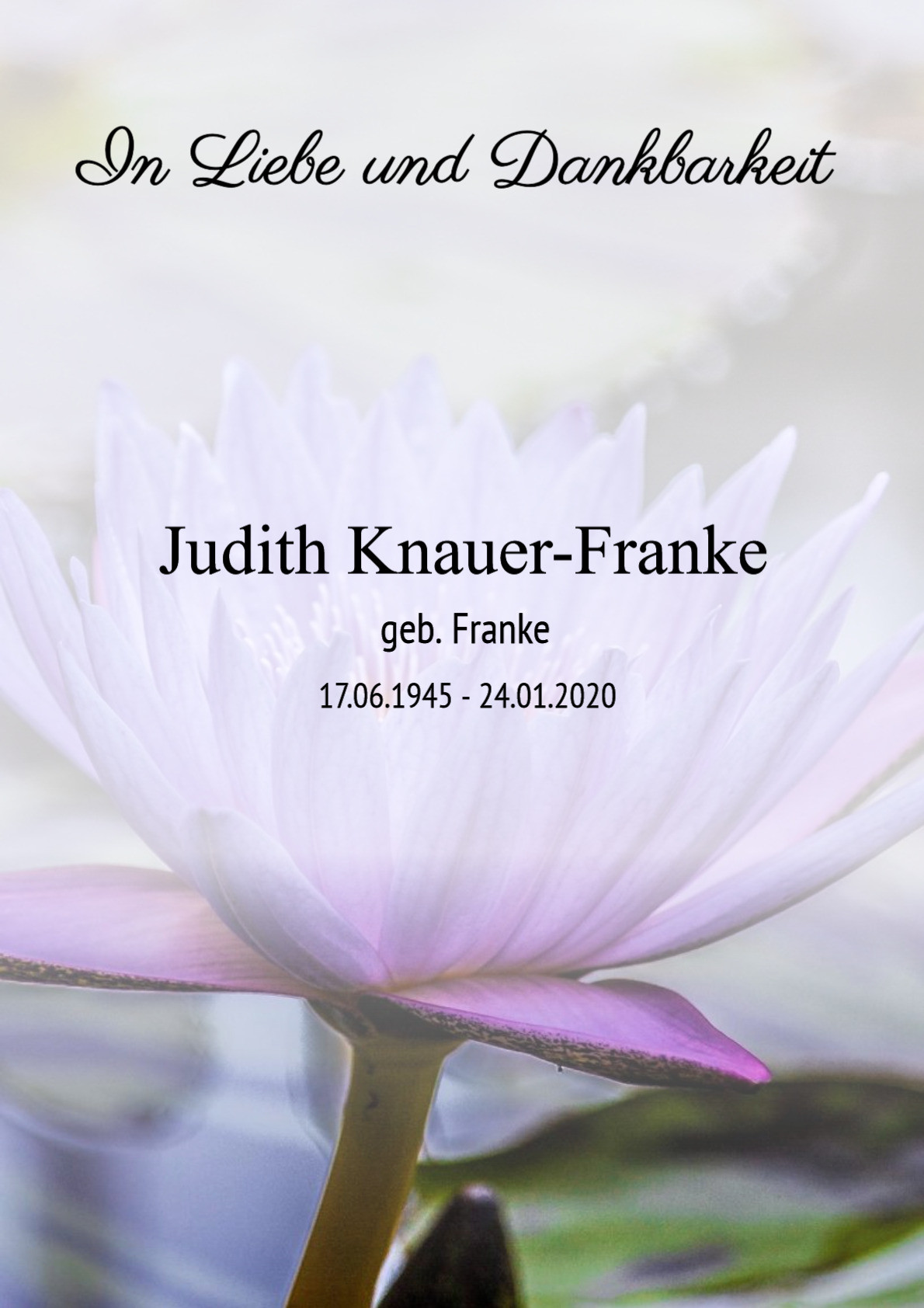 Traueranzeige von Judith Knauer-Franke