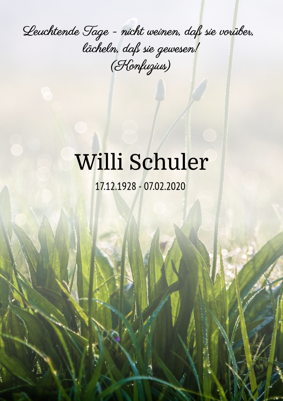 Traueranzeige von Willi Schuler