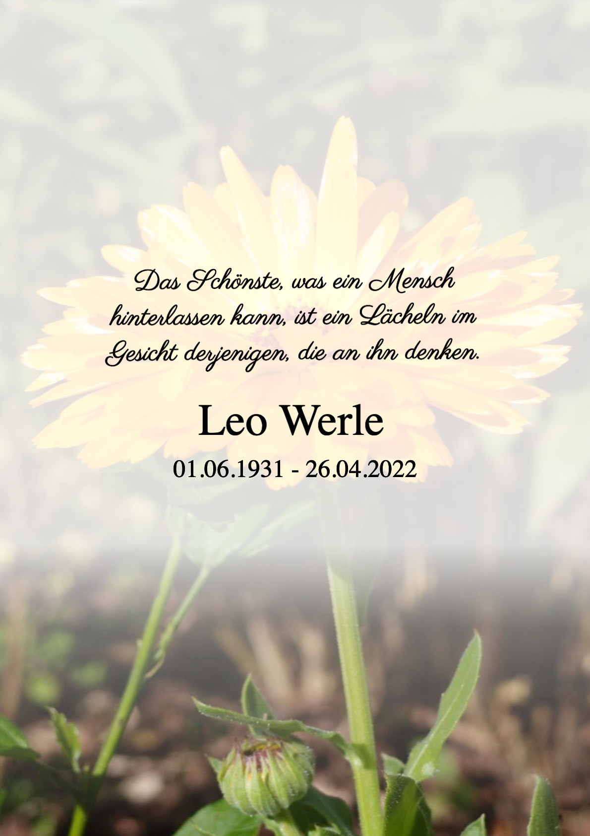 Traueranzeige von Leo Werle