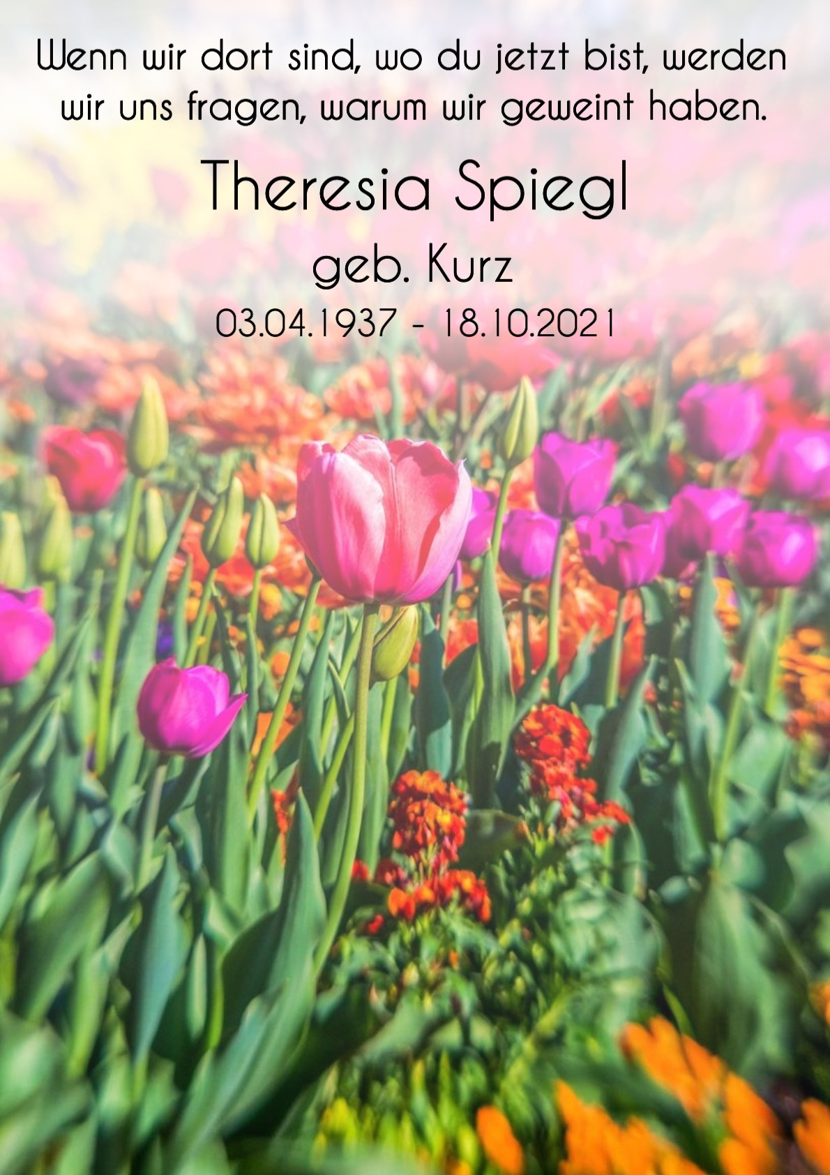 Traueranzeige von Theresia Spiegl