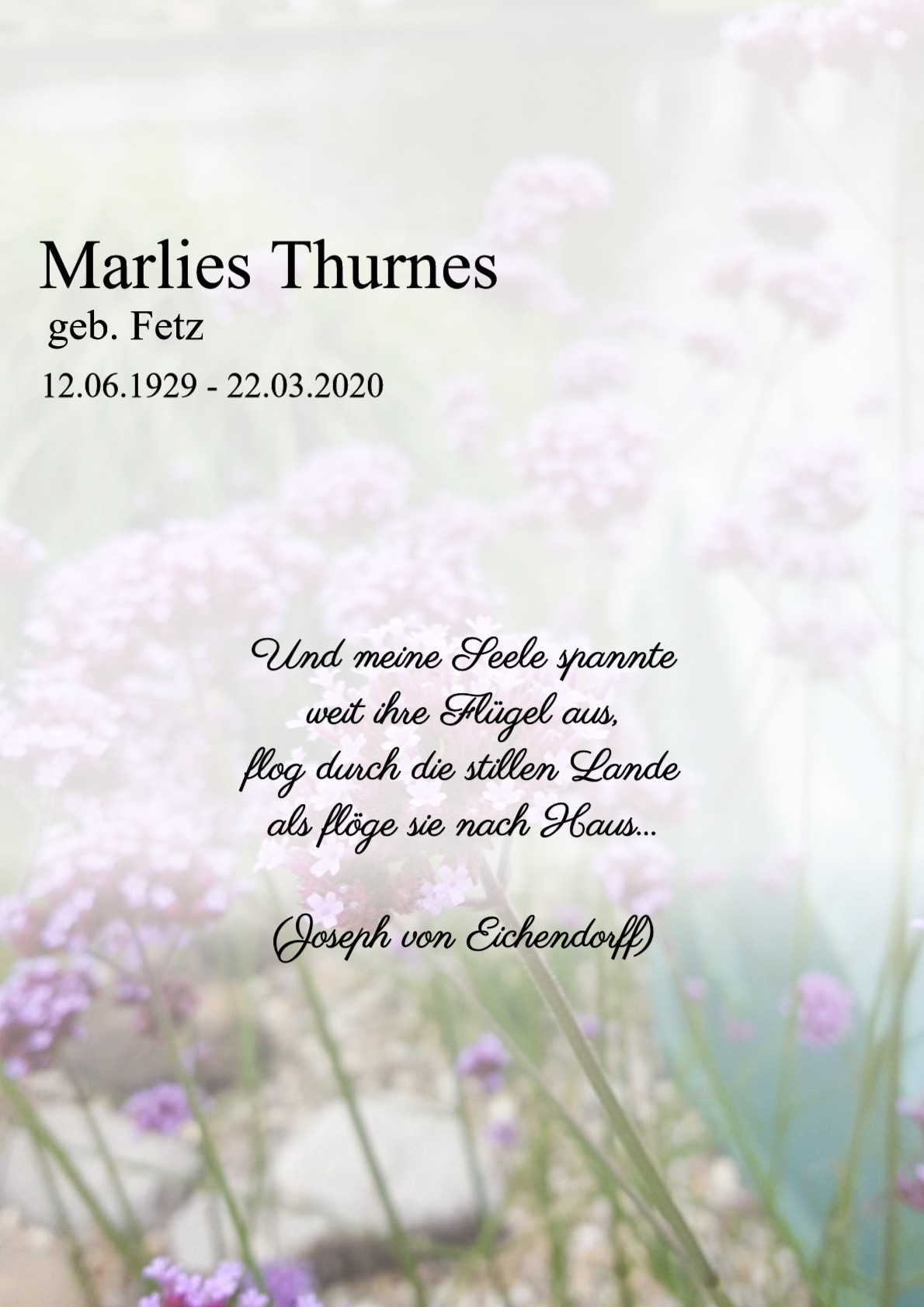 Traueranzeige von Marlies Thurnes
