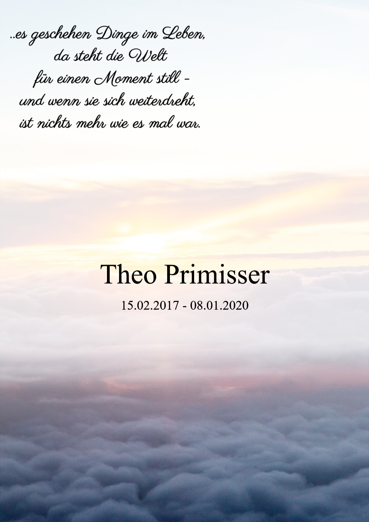 Traueranzeige von Theo Primisser