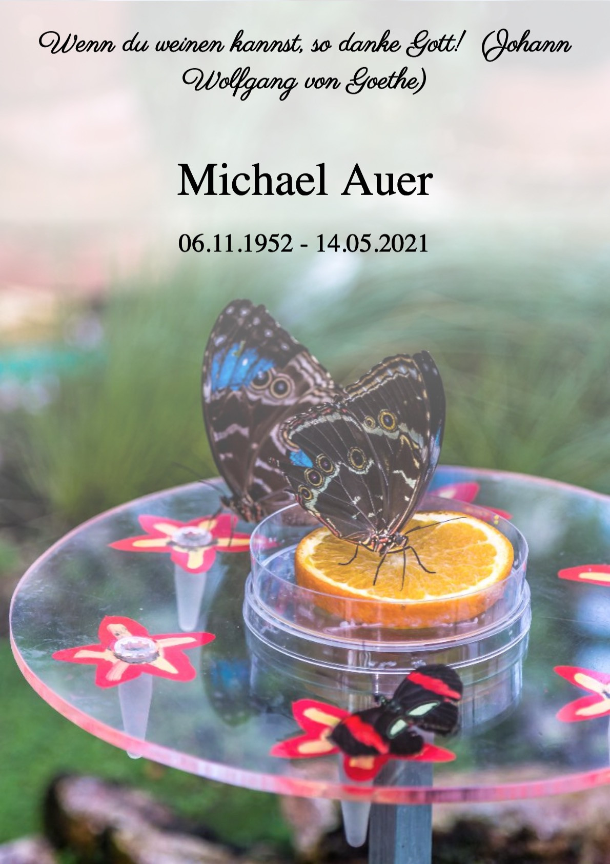 Traueranzeige von Michael Auer