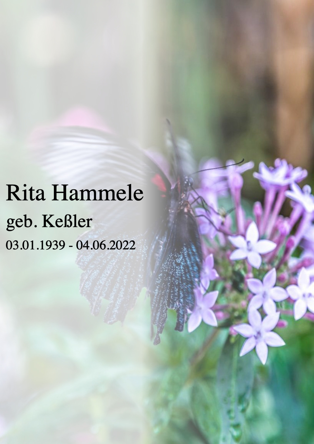 Traueranzeige von Rita Hammele