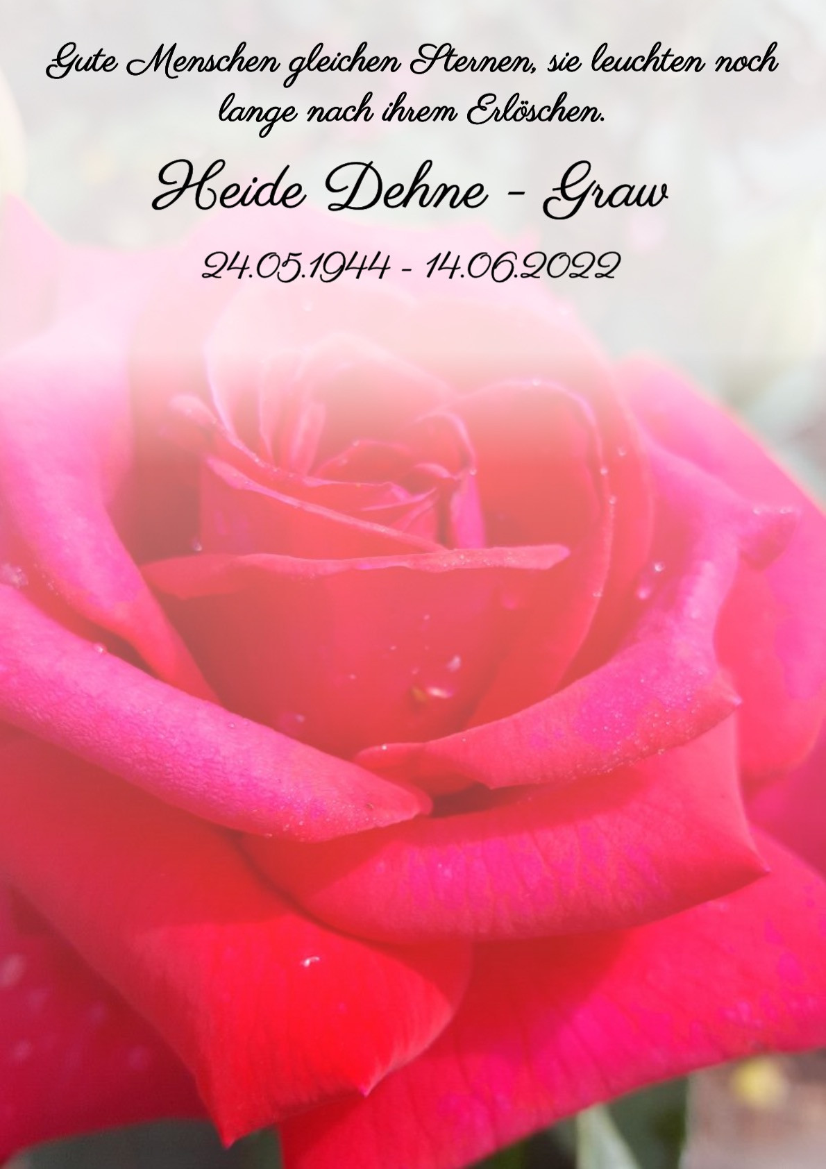 Traueranzeige von Heide Dehne - Graw