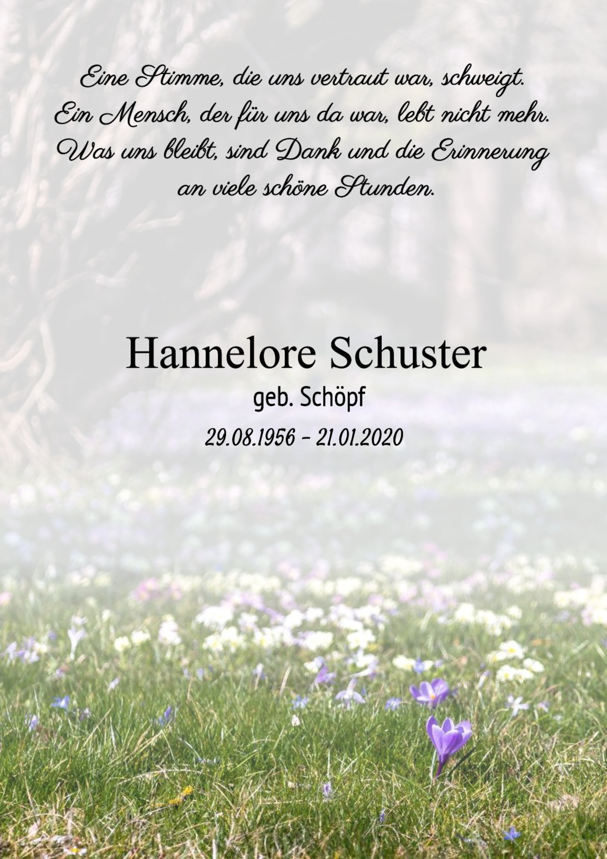 Traueranzeige von Hannelore Schuster