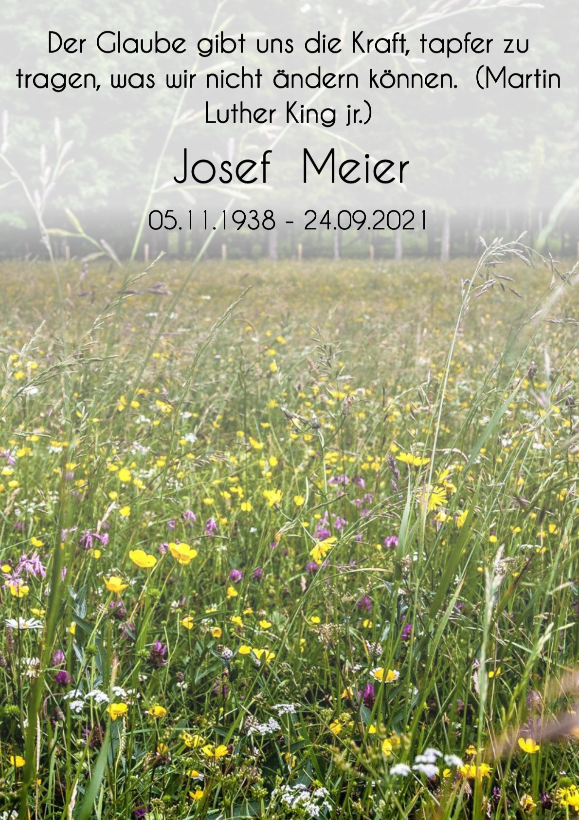 Traueranzeige von Josef Meier