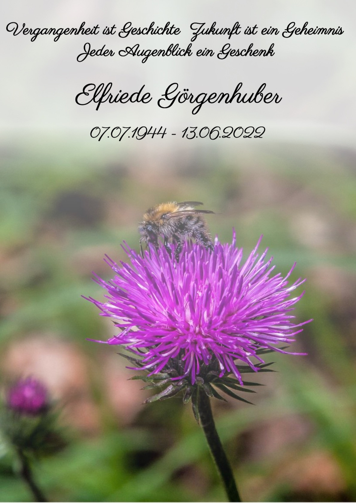 Traueranzeige von Elfriede Görgenhuber