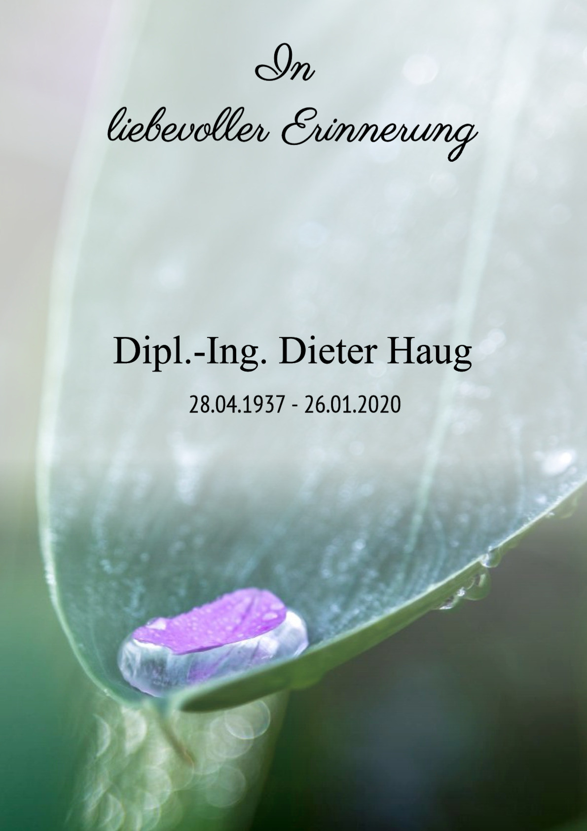 Traueranzeige von Dipl.-Ing. Dieter Haug