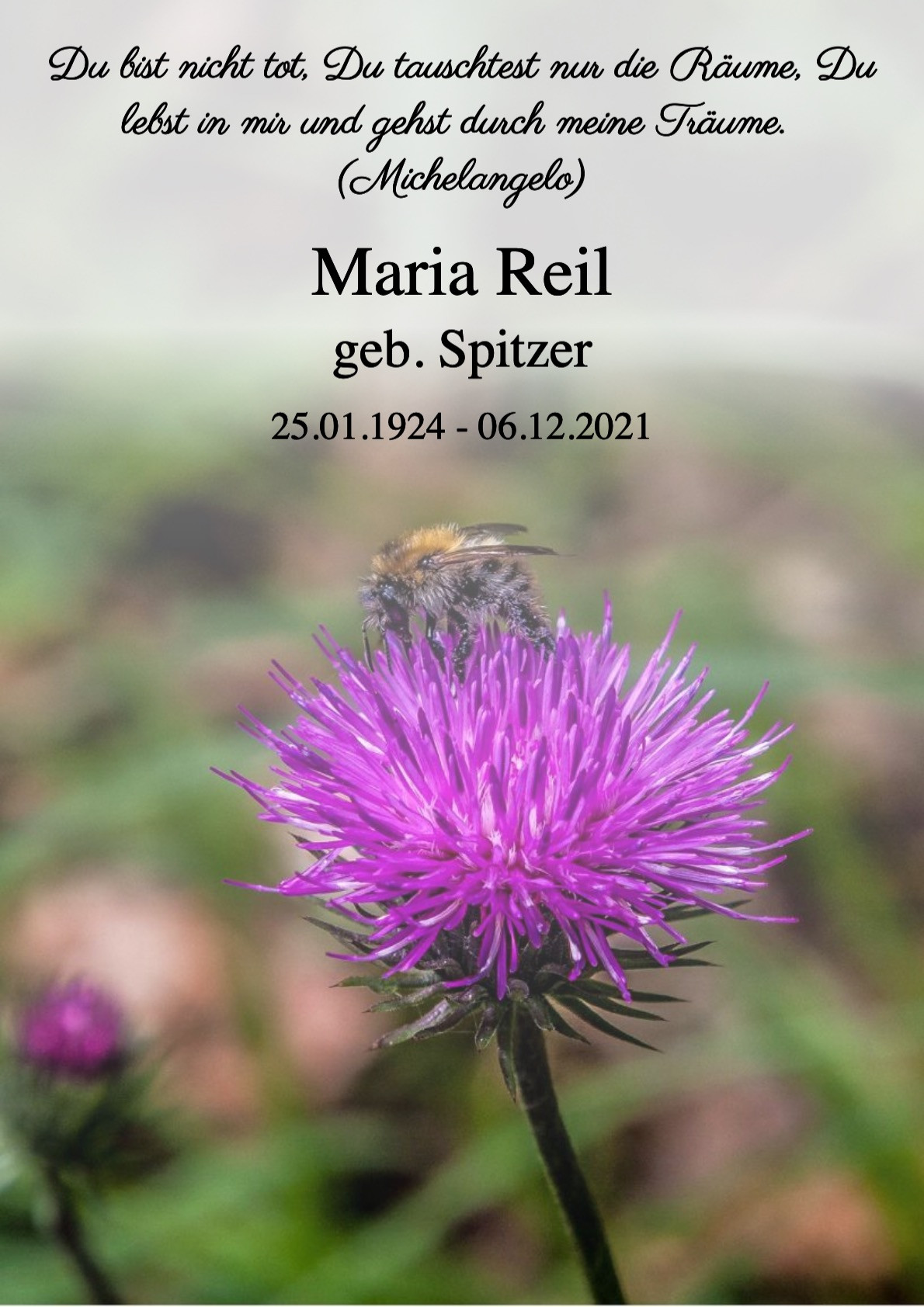 Traueranzeige von Maria Reil