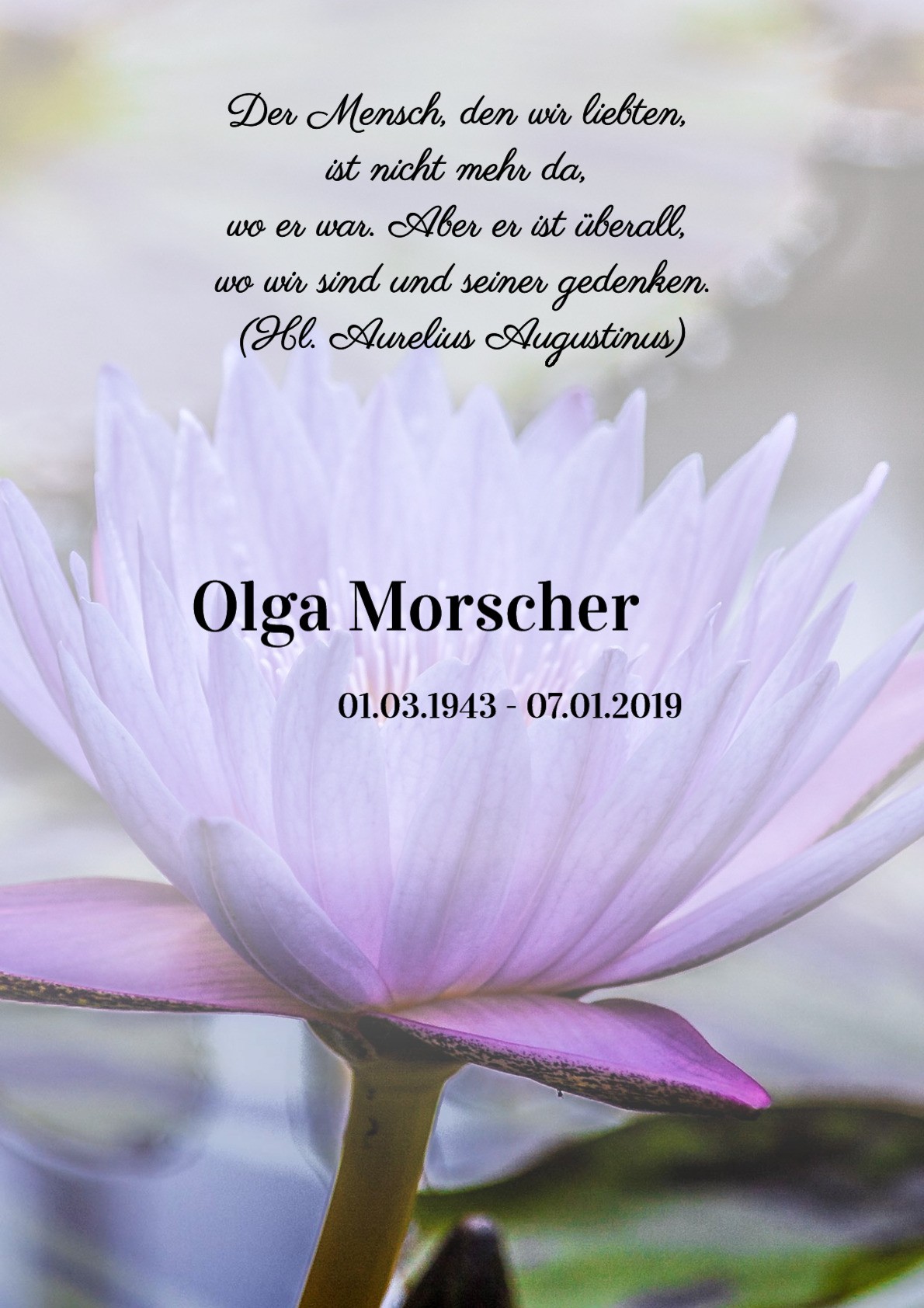 Traueranzeige von Olga Morscher