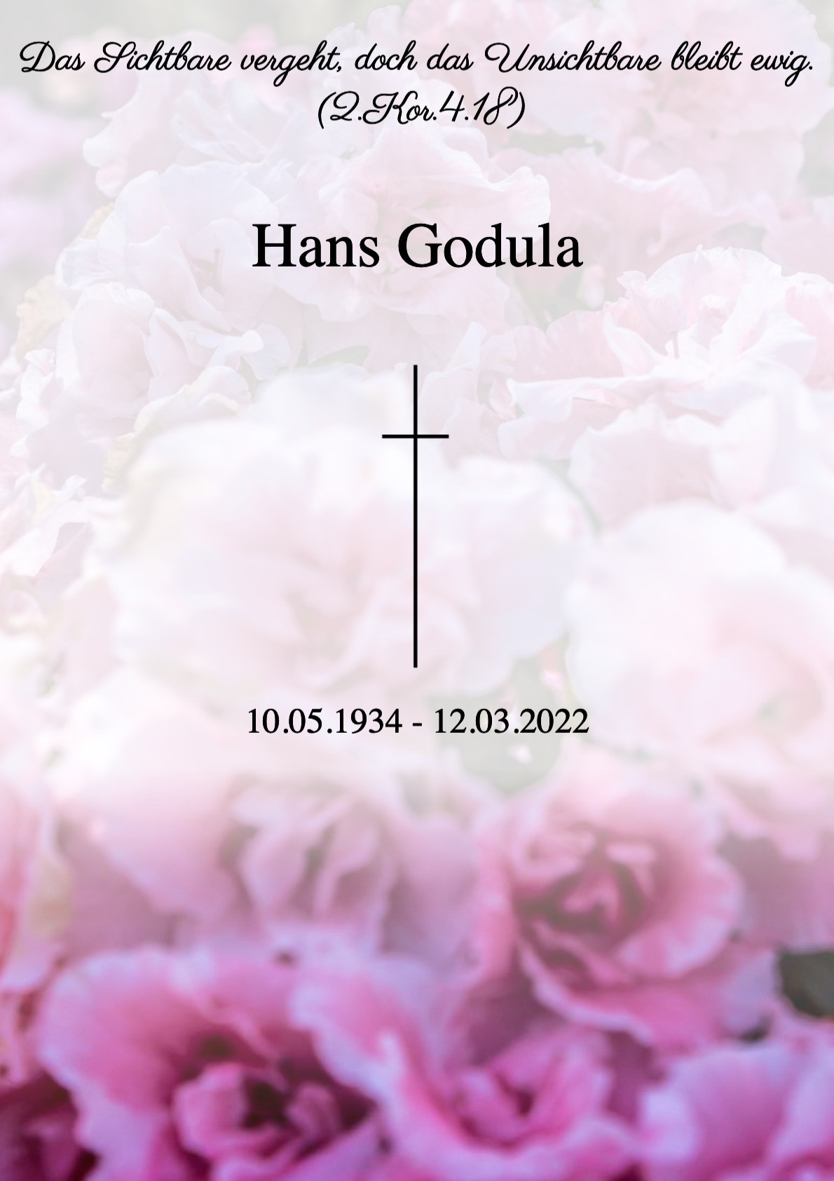 Traueranzeige von Hans Godula