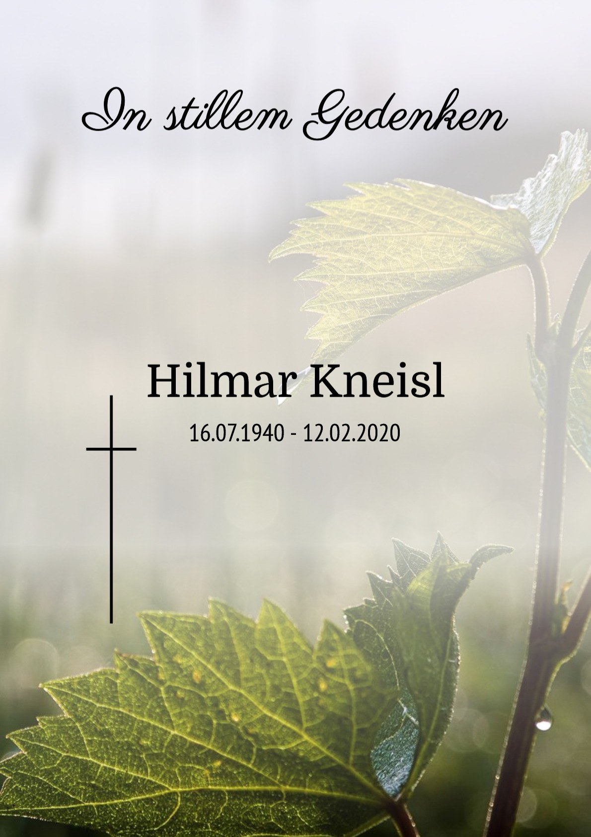 Traueranzeige von Hilmar Kneisl