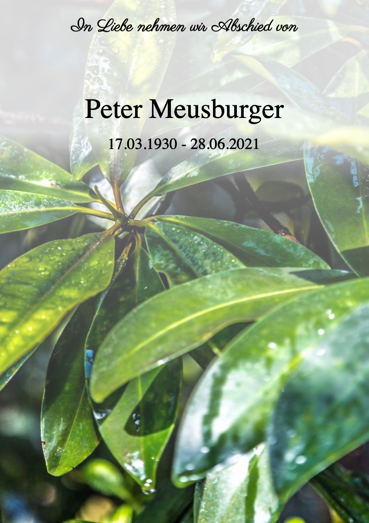 Traueranzeige von Peter Meusburger