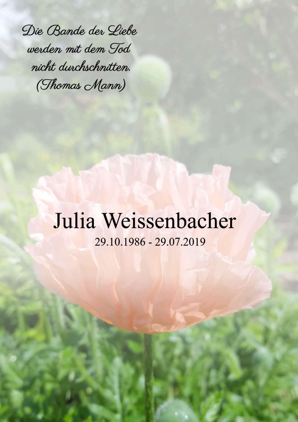 Traueranzeige von Julia Weissenbacher