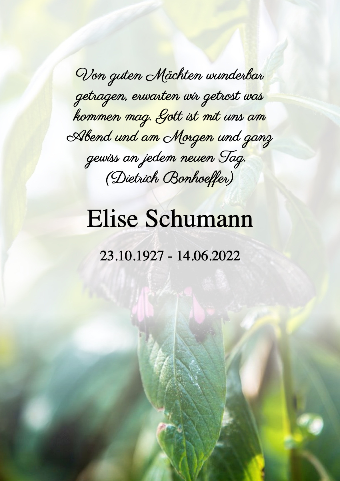 Traueranzeige von Elise Schumann