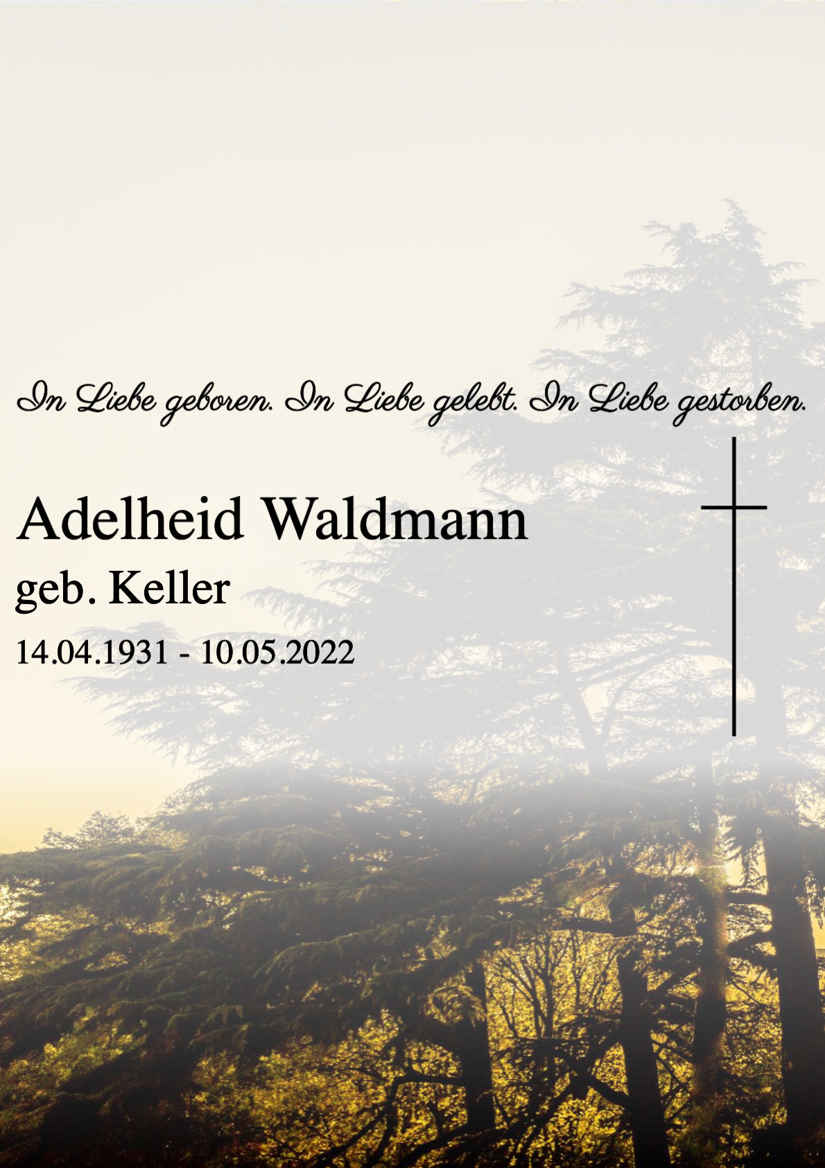 Traueranzeige von Adelheid Waldmann