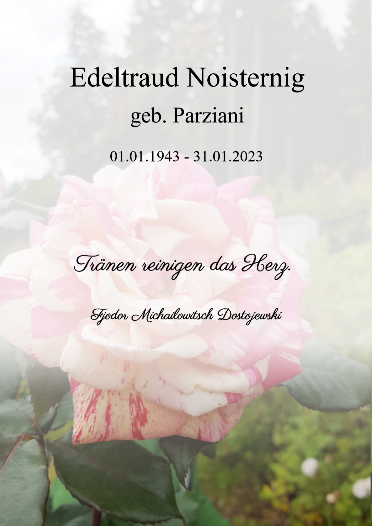 Traueranzeige von Edeltraud Noisternig