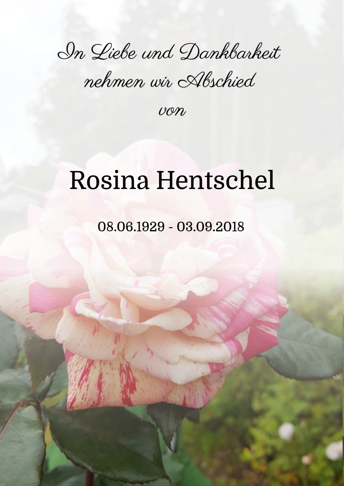 Traueranzeige von Rosina Hentschel