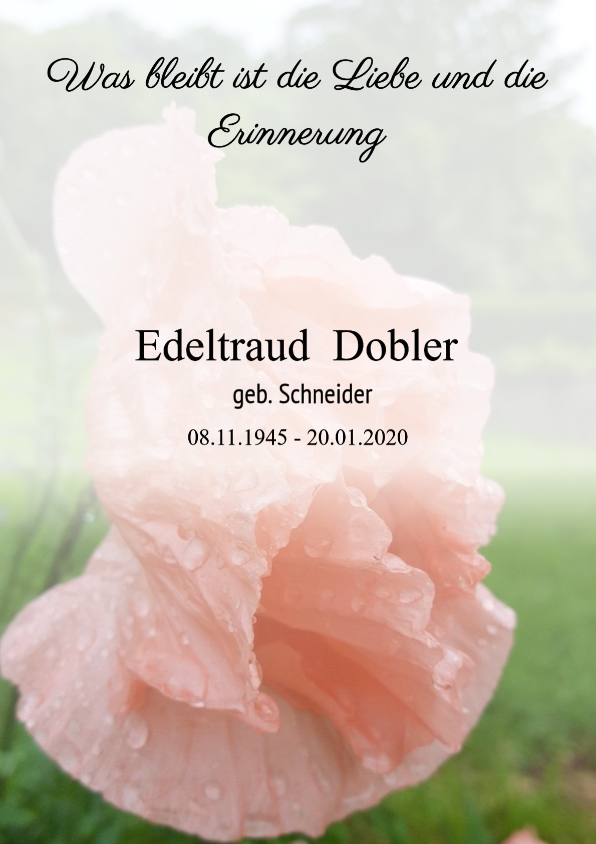 Traueranzeige von Edeltraud Dobler