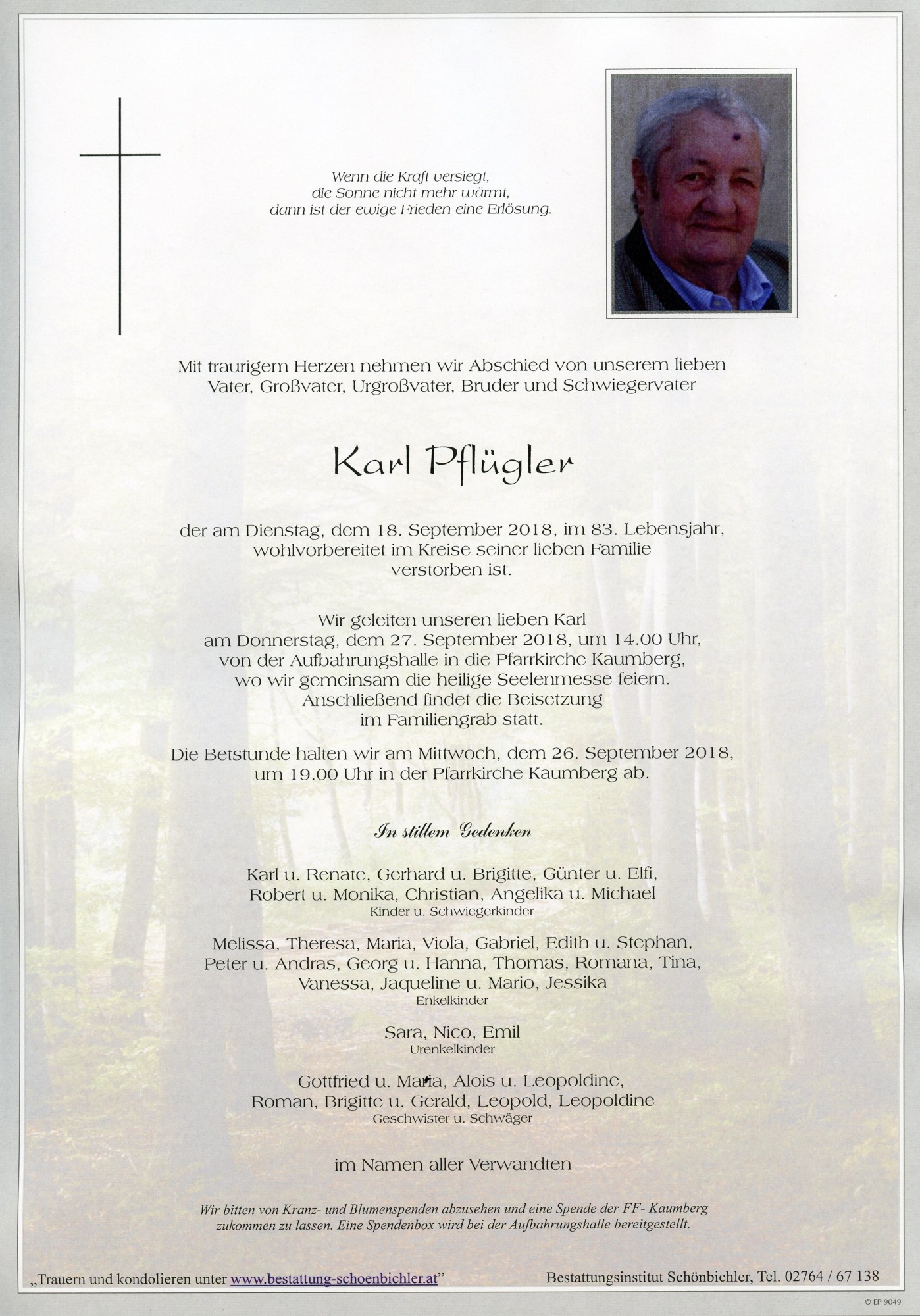 Traueranzeige von Karl Pflügler