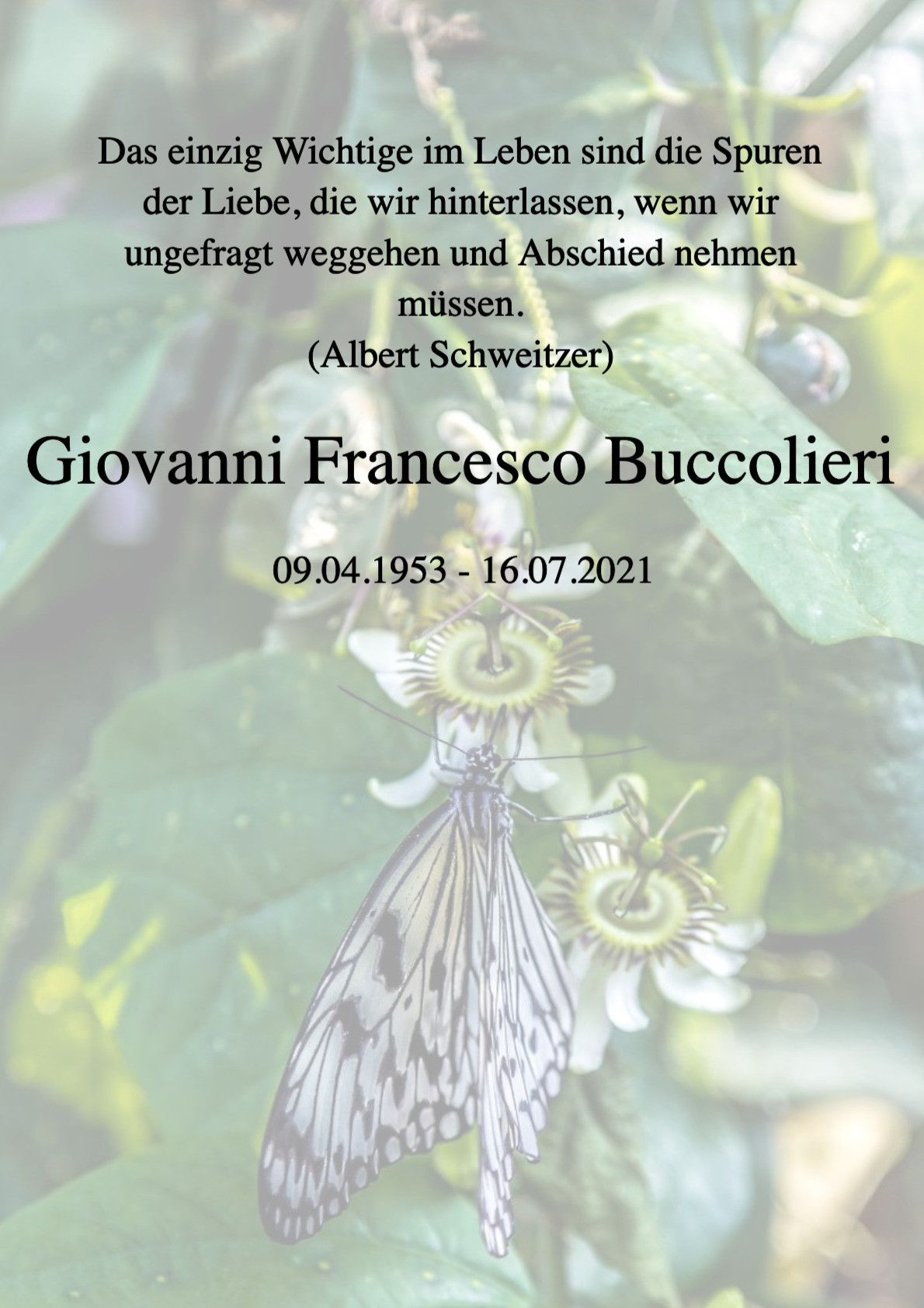 Traueranzeige von Giovanni Francesco Buccolieri