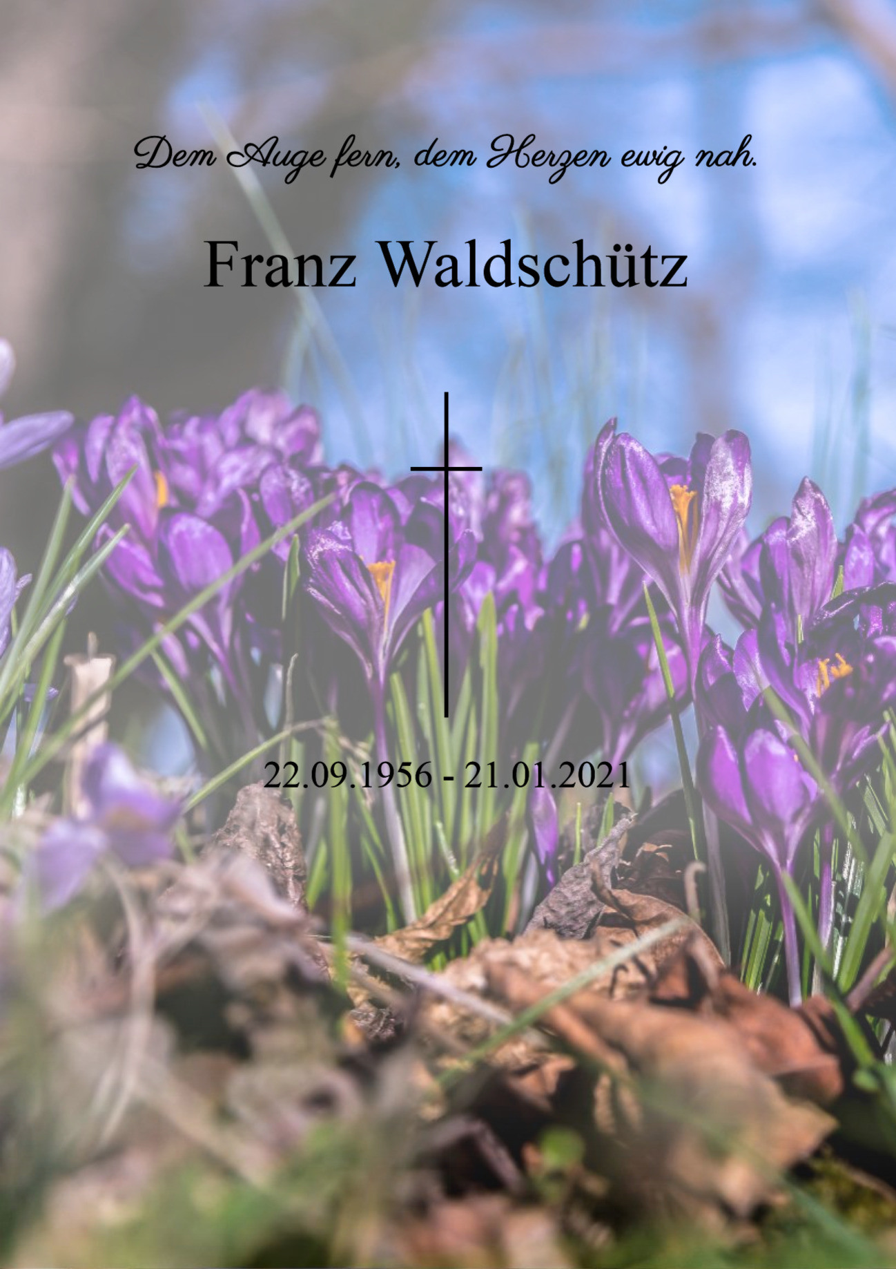 Traueranzeige von Franz Waldschütz