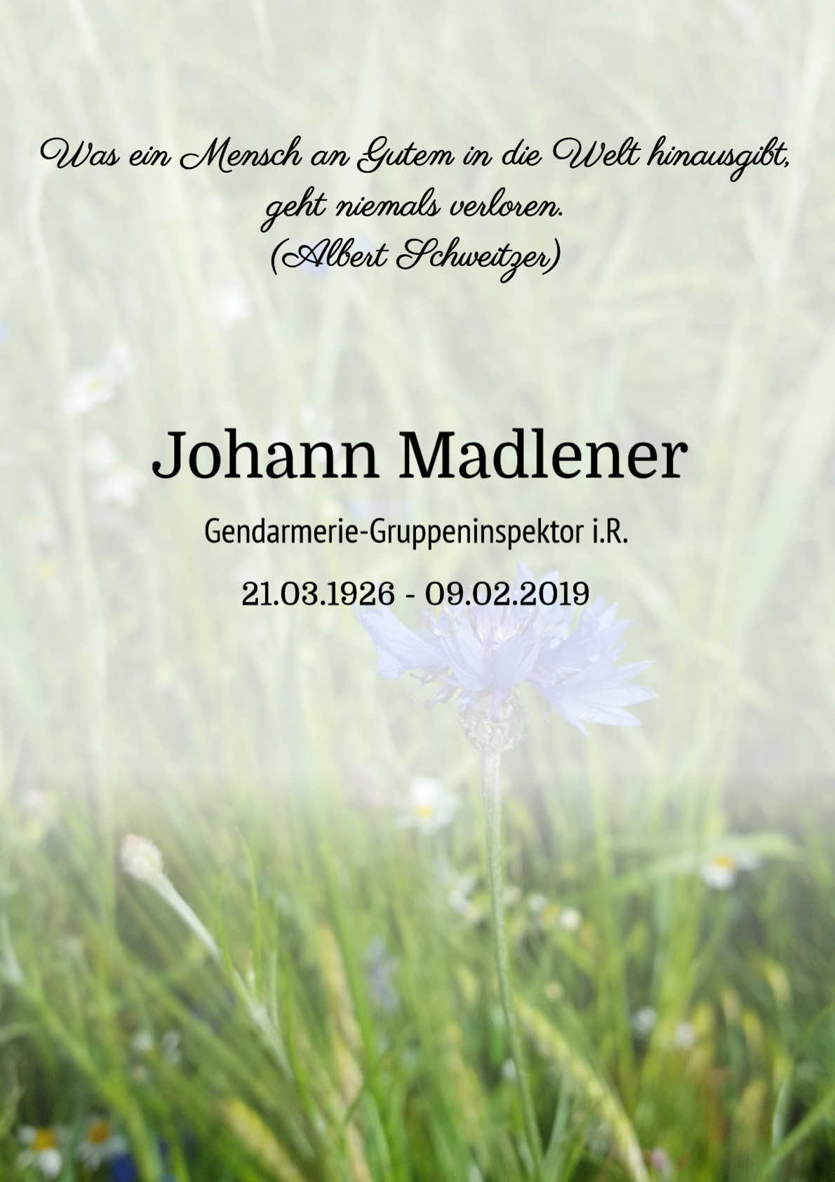 Traueranzeige von Johann Madlener