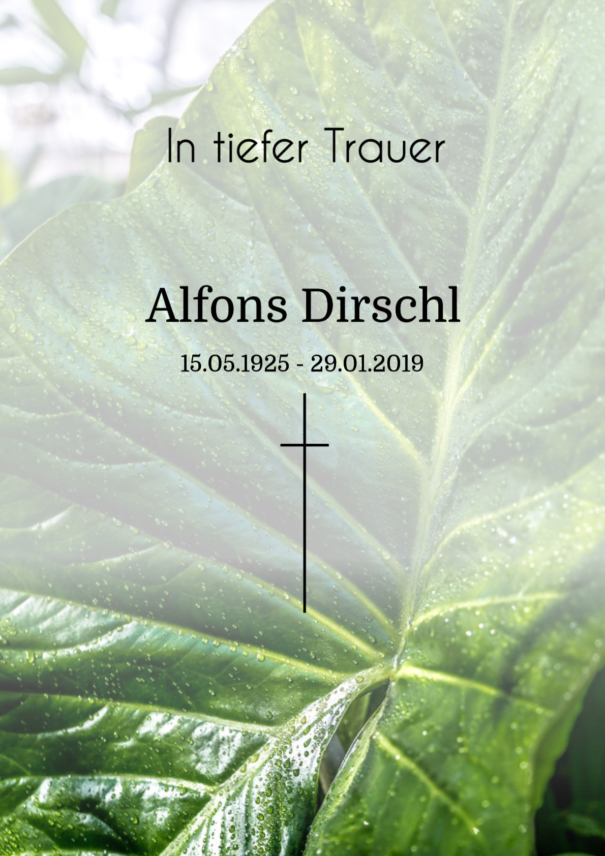 Traueranzeige von Alfons Dirschl