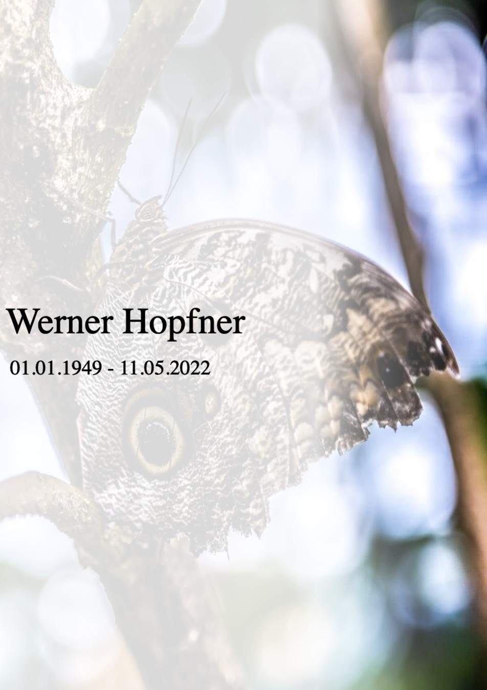 Traueranzeige von Werner Hopfner